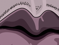 Jimi Hendrix artwork by Graphicurry in a distinctive illustrated style