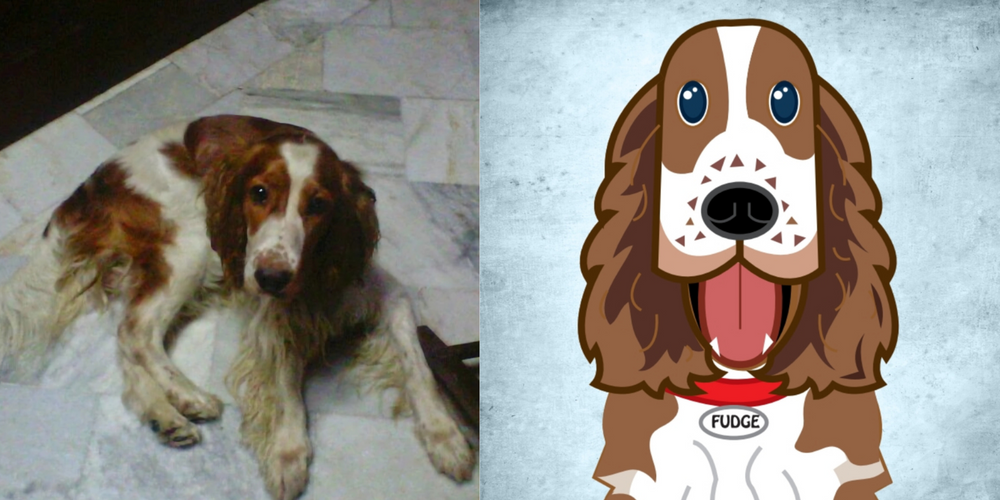 Pet caricature illustration – custom artwork gift for pet lovers