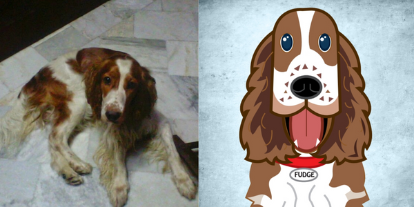 Pet caricature illustration – custom artwork gift for pet lovers