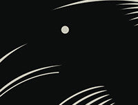 Hitchcock Wall Art by Graphicurry
